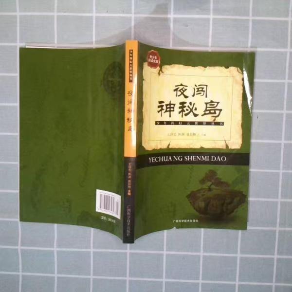 青少年阅读文库-少年科幻大世界丛书：夜闯神秘岛